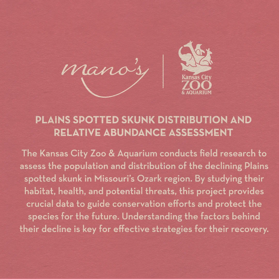 Plains Skunk Sweet Rosé Wine - Image 2
