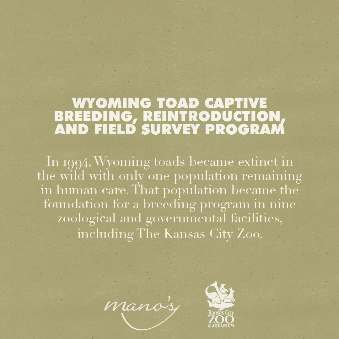 2024 Wine Walk Collectors Pack - Image 5